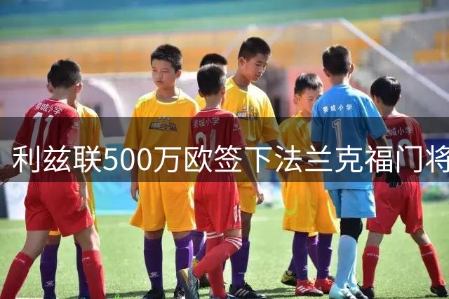 利兹联500万欧签下法兰克福门将泽特尔